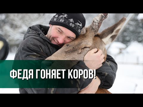 Фермер вырастил ОЛЕНЯ и катает его на бусе! // Жизнь на хуторе, TikTok и сложный характер