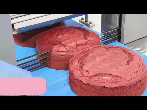 Munch Bakery Food Industries Intro