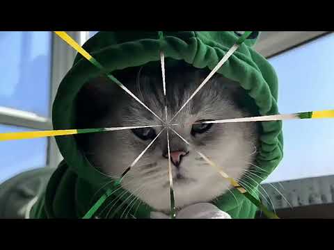 Winter Just Got Cuter! 🧣🐶🍉