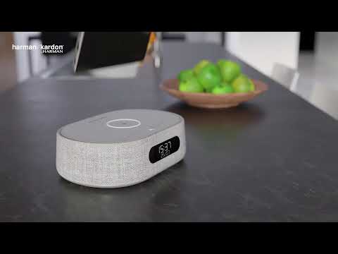 Портативна акустика harman/kardon Citation Oasis (Grey)