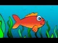 Çocuk şarkıları - Kırmızı balık gölde (orijinal müzik ve sözleri ...
