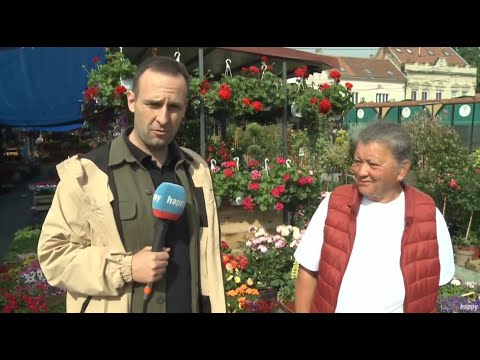 Ukljucenje sa pijace sa teta Ruzom - Sve sto niste znali o maslinama, a trebali biste - (30.05.2022)