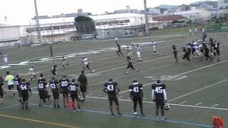 preview picture of video 'Preston Johnson 2009 Seahawks Football'