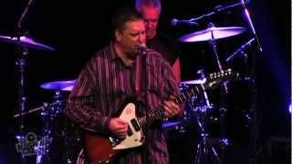 Kids In Dust AKA Sunnyboys - Show Me Some Discipline (Live at Dig It Up! Sydney) | Moshcam