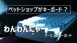 ペットショップのキーボードがとんでもなく高性能だった[ゆっくり]