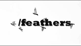 /feathers. two