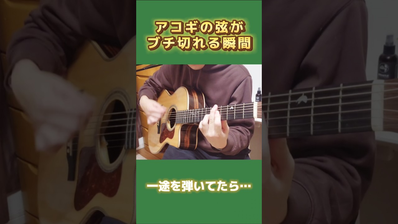 アコギの弦がブチ切れる瞬間 #shorts #ギター