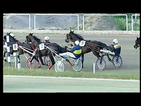 Napoli Trotto 22/05/2022 - 12ª corsa