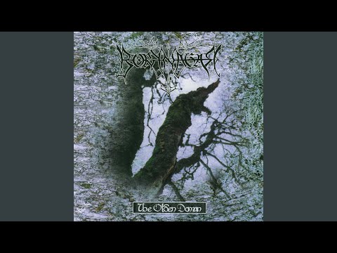 The Dawn of the End - Borknagar