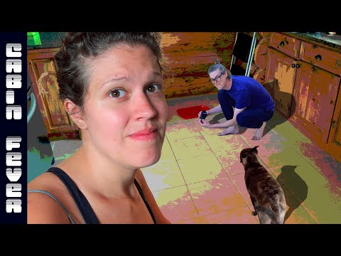 The mice are back! (How to get rid of mice when you have a dog)