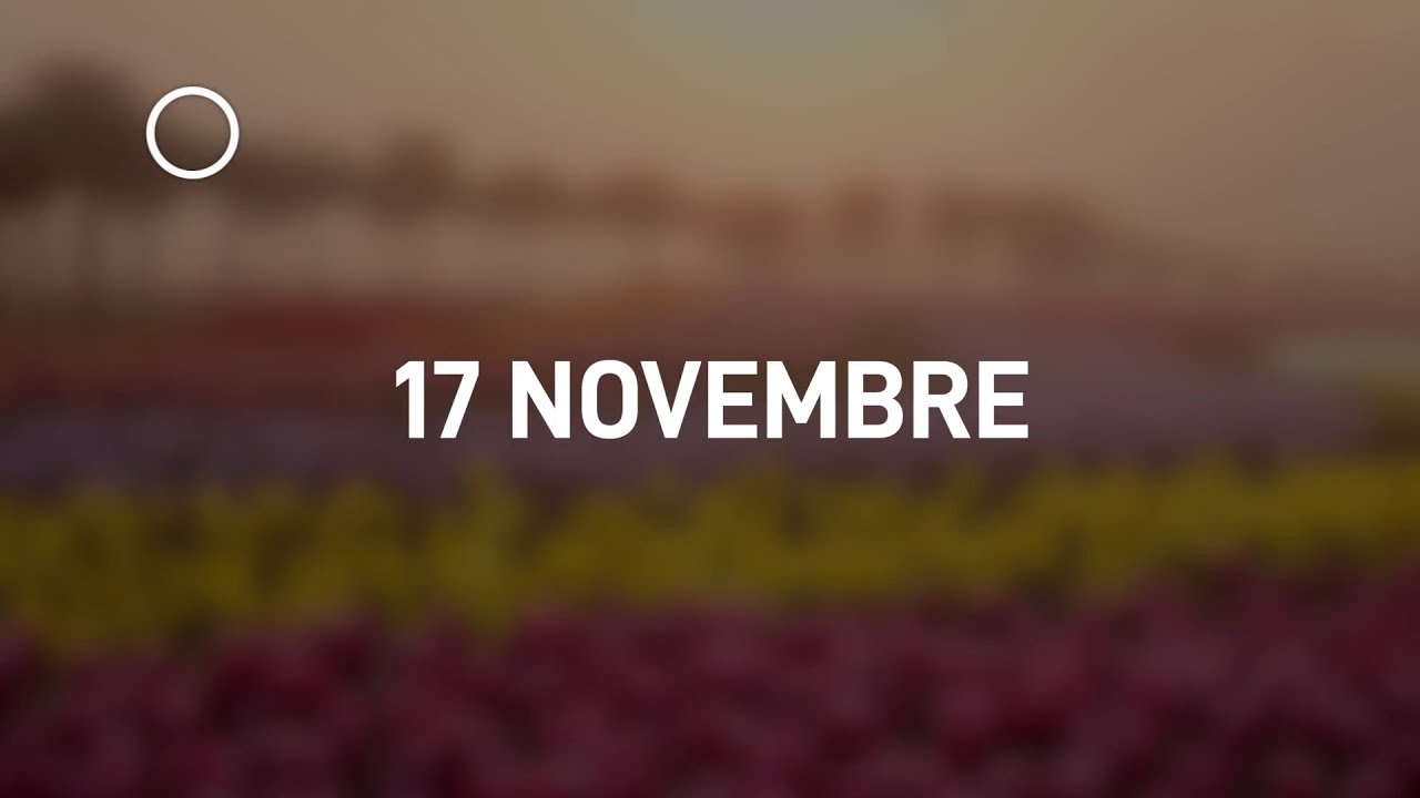 17 Novembre 2024 | Meditazione Parole di Vita