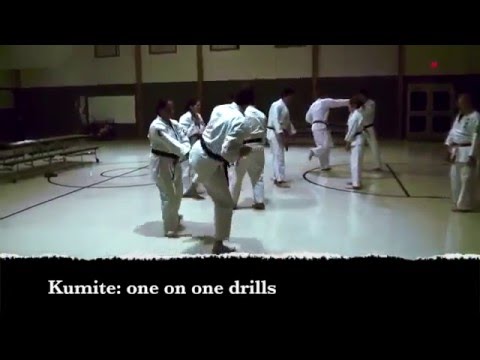 Virginia Okinawan Karate