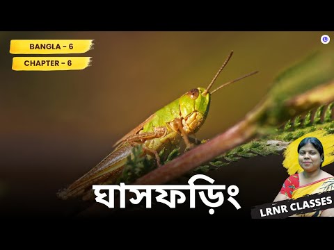 Chapter 6 Ghasforing written by Arun Mitra | ঘাসফড়িং | অরুণ মিত্র