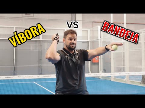 BANDEJA VS VÍBORA