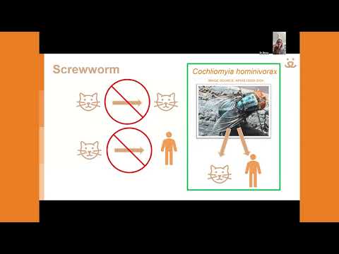 The Best Tools You Aren’t Using: How Data Can Help You Build Stronger Transfer Networks