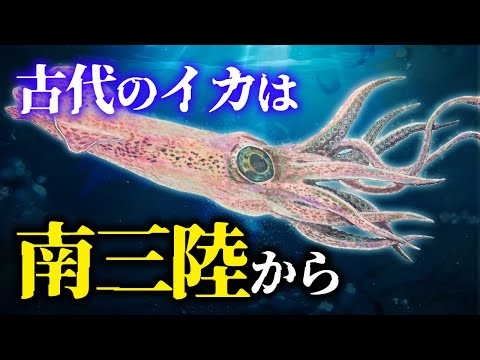 サルベリヌスについて詳しく解説