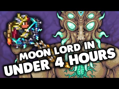 Terraria Speedruns are SICK