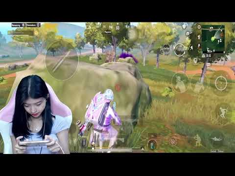 Solo 21kills chicken 🐥