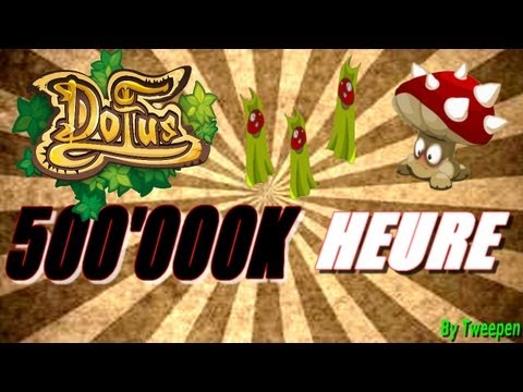 comment se faire 500 000k dofus