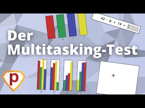 Der Multitasking-Test im Pilotentest 2025