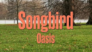 Songbird (Lyrics) | Oasis