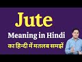 Jute meaning in Hindi | Jute ka kya matlab hota hai | Spoken English Class