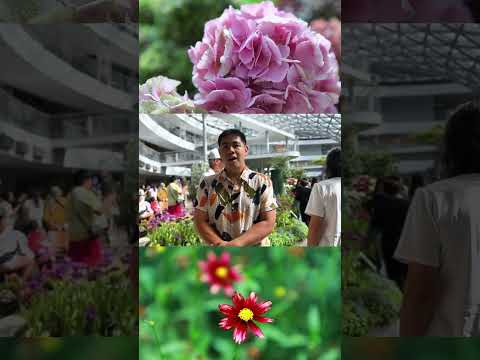 EP.1 สวนดอกไม้เมืองหนาว Miracle of Natural และเทคนิคถ่ายภาพดอกไม้ #พาเที่ยว #ถ่ายรูป #ระยอง #shorts