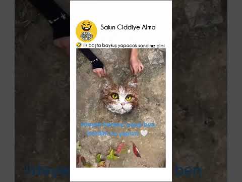 🤣 ilk başta baykuş yapacak sandınız dimi