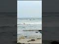 Mauritius Tropical Paradise In The Indian Ocean Ass Nature Lover ️