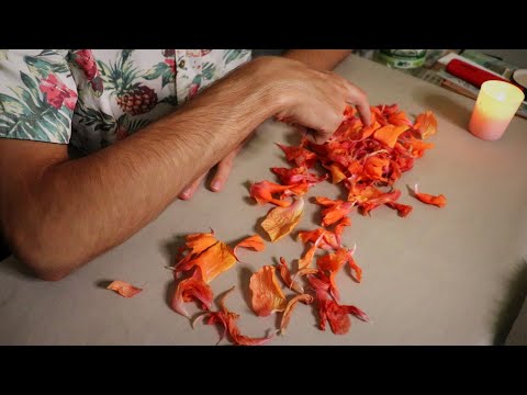 Flower Petal Reading (ASMR)