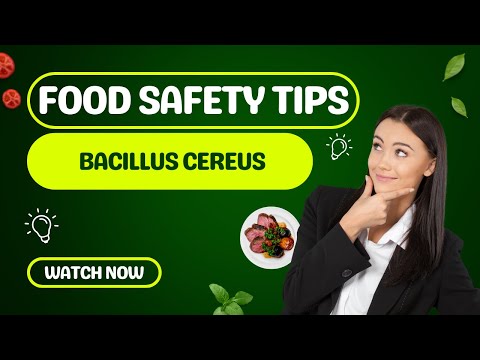 Understanding Bacillus Cereus Food Poisoning