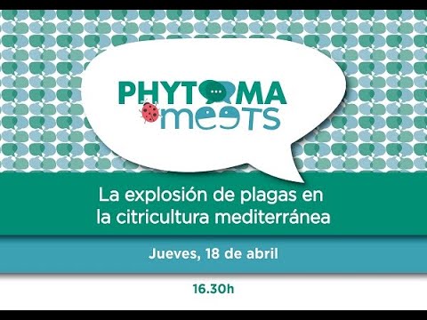 Fotograma del vídeo: La explosión de plagas en la citricultura mediterránea