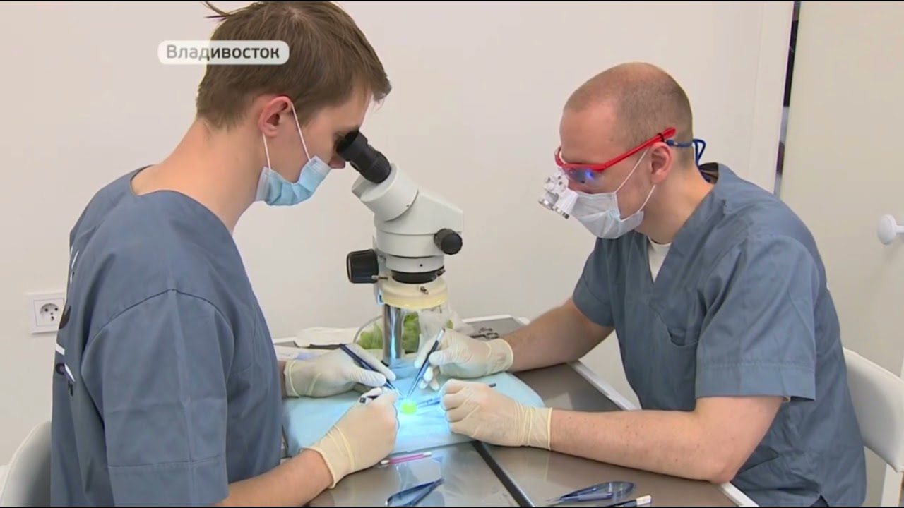 Тихоокеанский медицинский (ТГМУ). Видеопрезентация университета.