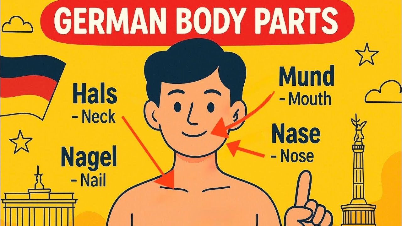 Essential German Body Parts That Every Learner Should Know!🇩🇪