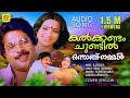 കൽക്കണ്ടം ചുണ്ടിൽ Kalkkandam Chundil Onnanu Nammal Satheesh Babu Sus
