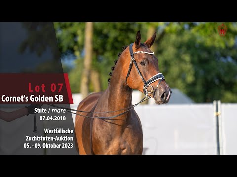 Zuchtstuten-Auktion Lot 07 Cornet's Golden SB Stute v. Cornet Obolensky - Taloubet Z