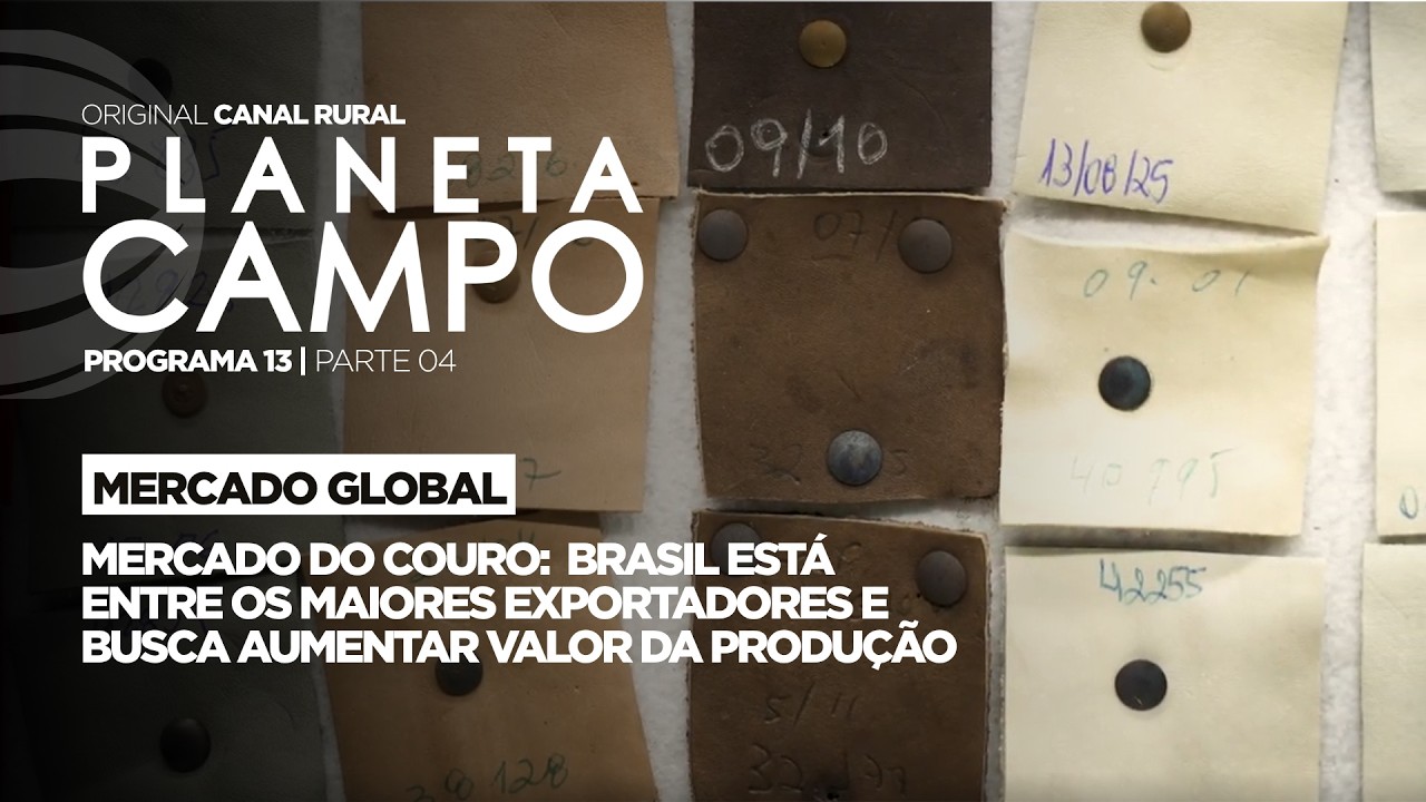 Mercado do couro: Brasil se destaca nas exportações e valoriza produção | Planeta Campo - ep.13