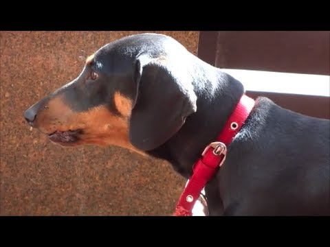 freaking noise from dash !!!