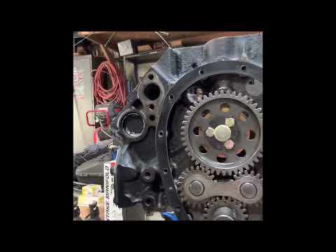 Timing Chain or Gears?