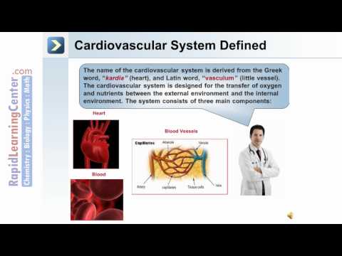 The Endocrine System - Part 3 of 3