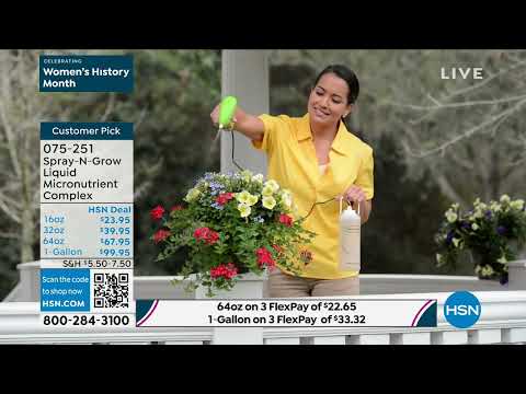 HSN | Your Best Backyard 03.31.2023 - 12 PM