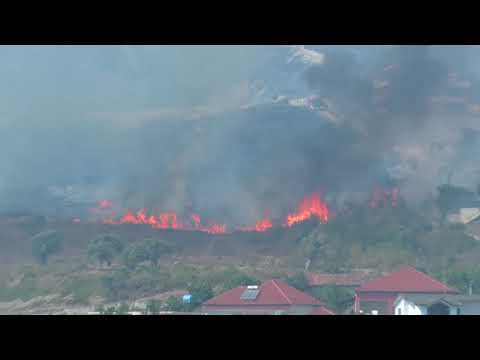 BELSH TV- Vazhdojnë të Digjen mijëra hektar pyje dhe ullishte në "Peqin".