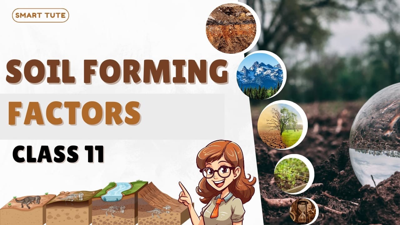 Soil Forming Factors - Geomorphic Processes | Class 11 Geography | NCERT