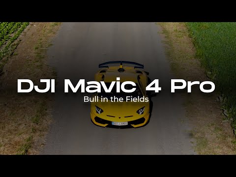 Bull in the Fields | Lamborghini Aventador SVJ 4K 60FPS (DJI Mavic 4 Pro)