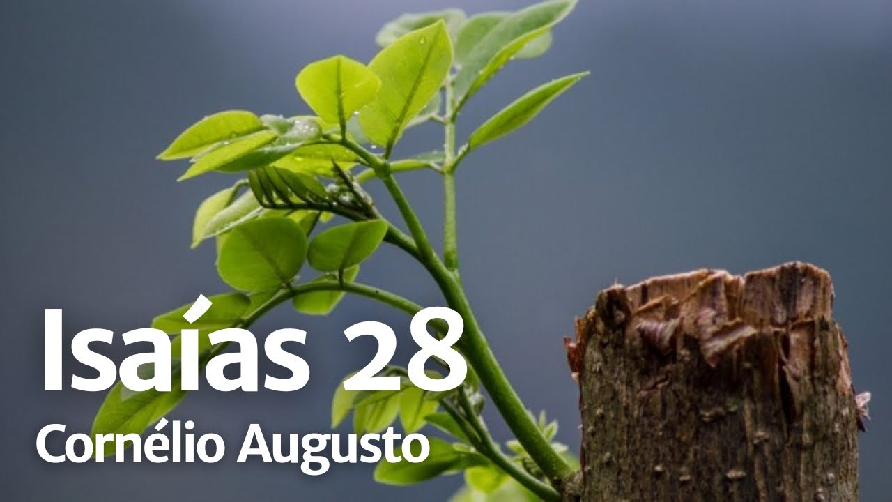 Bíblia Falada | Isaías 28