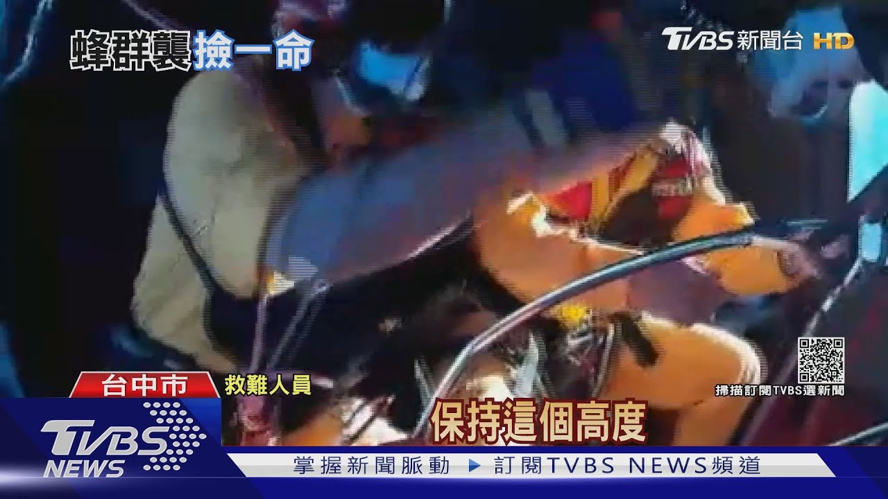 馬武霸山防火線除草 包商遭蜂螫傷 空勤吊掛送醫