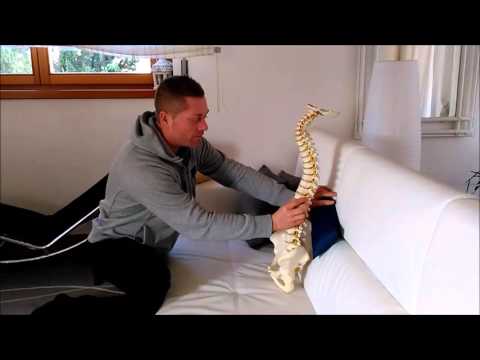Tipo di ossa della colonna vertebrale cervicale Come ottenere un preventivo sul ginocchio sostituzione articolare a Rostov