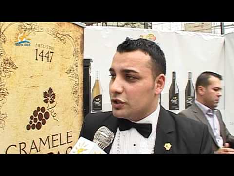 Targul International de Vinuri Goodwine 2012 Alexandru Dan somelier sef Cramele Recas