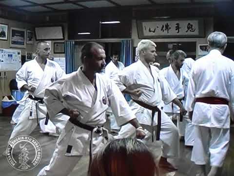 Pinan Nidan, Okinawa 2002 - Oshukai Poland