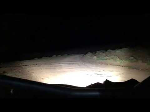 Rigid Radiance Demo at Night